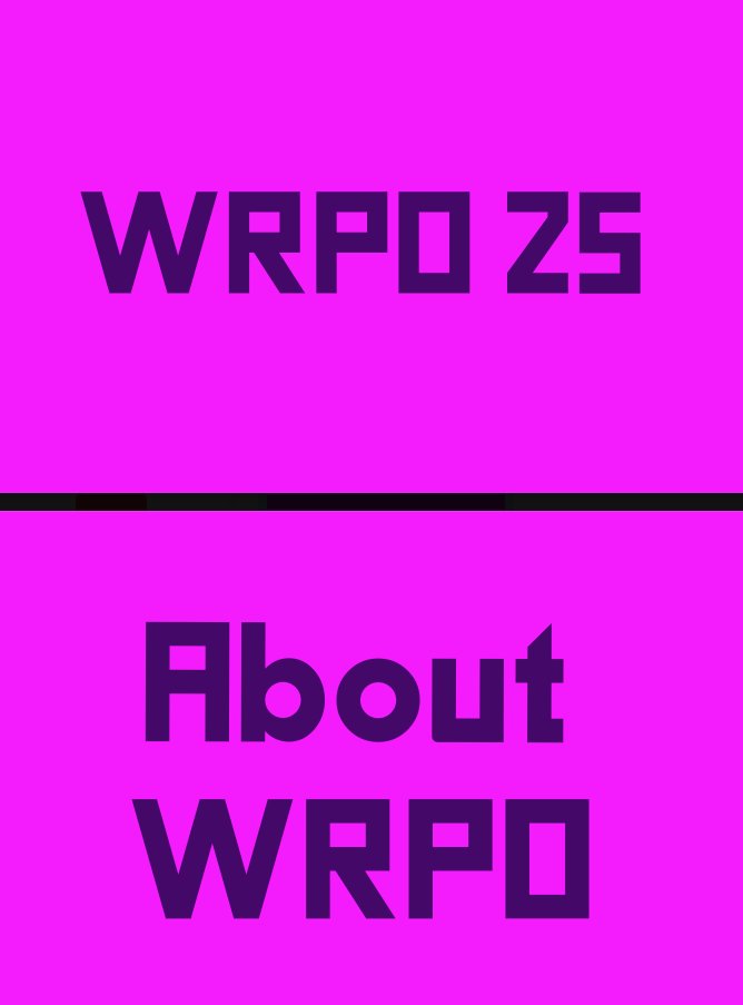 VISUAL IDENTITY-WRAPPED 2025